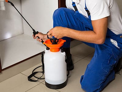 Pest Control Kingman AZ